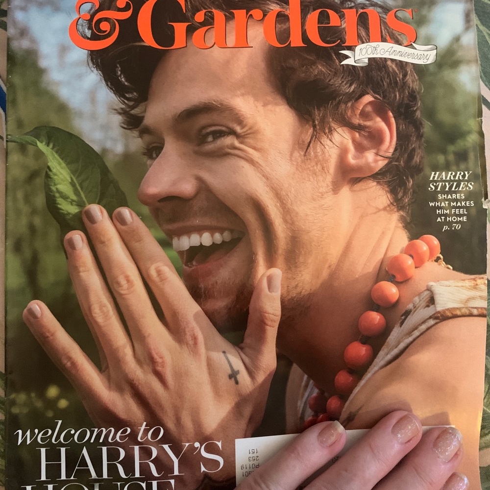 Harry Styles Better Homes & style cover collectible June 2022 pristine good gift